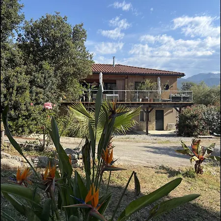 Casa Alta Bianca * Viggianello