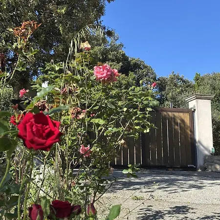 Casa Alta Bianca Villa Viggianello