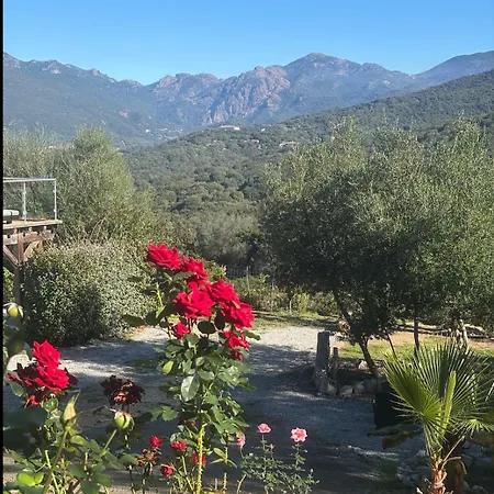 Villa Casa Alta Bianca *