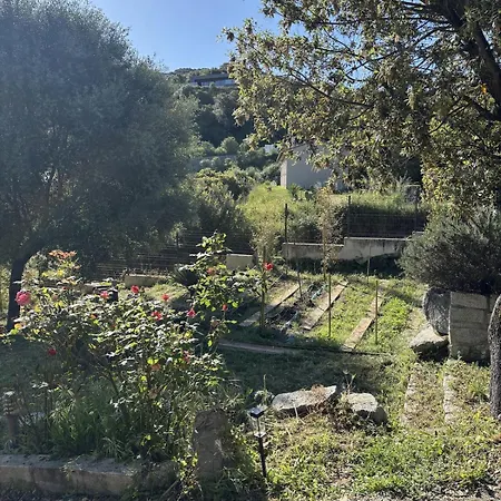 Casa Alta Bianca Villa *